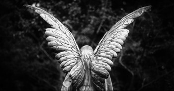 7 Biblical Facts about Guardian Angels