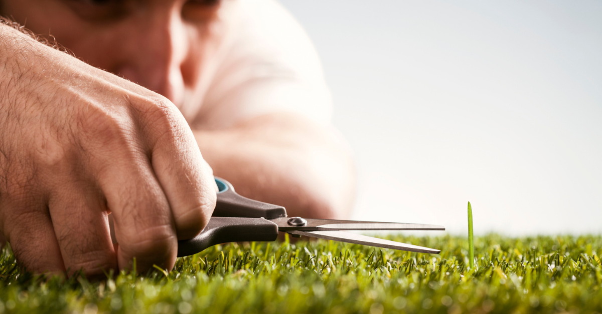 A perfectionist cutting the grass with scissors; am I too hard on myself?